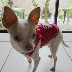 Meet your Posher, Esther